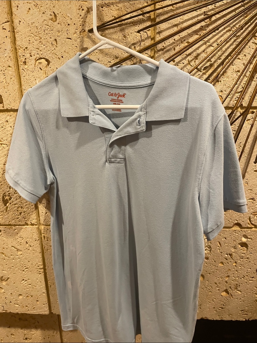 Cat & Jack Boy’s Pale Blue Polo